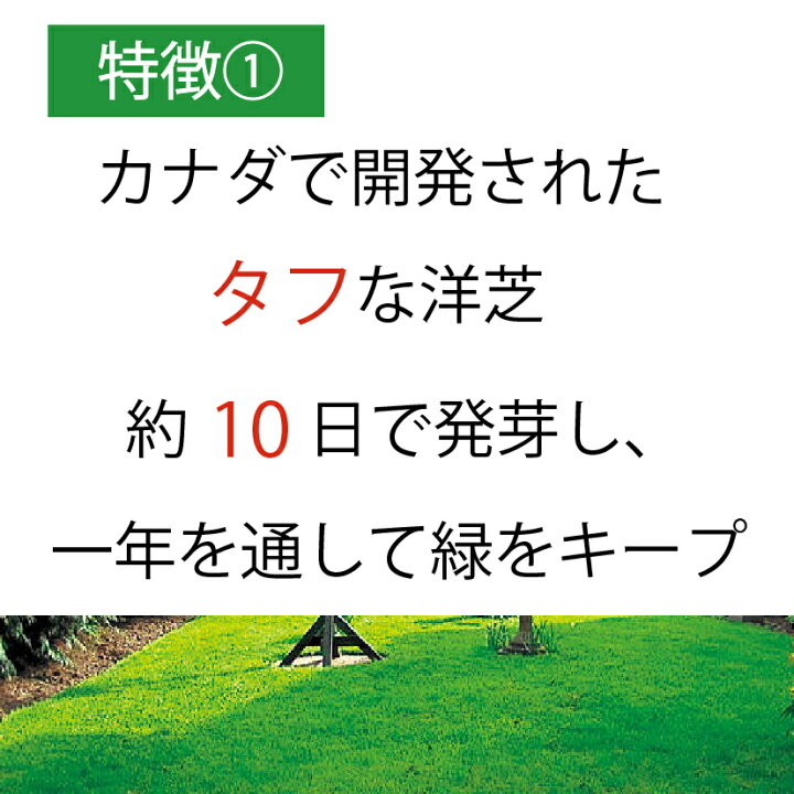 楽天市場 15袋組 芝生 種 混合 1袋 944g おすすめ 芝 全袋使用で密集の場合 推奨300平方メートル 最大1350平方メートル 1袋あたり価格5610円 種まき Newカナダグリーン 天然芝生 緑芝 西洋芝 洋芝 ミックス 種子 ガーデングラス クリスマス カリスマバイヤー輸入