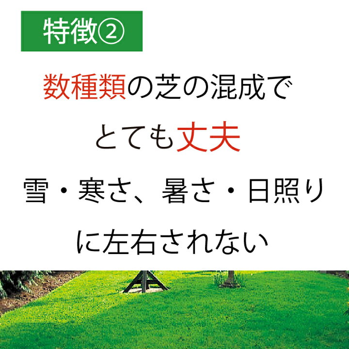 楽天市場 15袋組 芝生 種 混合 1袋 944g おすすめ 芝 全袋使用で密集の場合 推奨300平方メートル 最大1350平方メートル 1袋あたり価格5610円 種まき Newカナダグリーン 天然芝生 緑芝 西洋芝 洋芝 ミックス 種子 ガーデングラス クリスマス カリスマバイヤー輸入