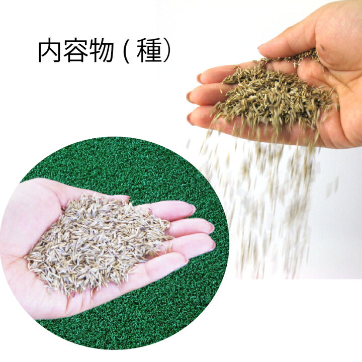 楽天市場 15袋組 芝生 種 混合 1袋 944g おすすめ 芝 全袋使用で密集の場合 推奨300平方メートル 最大1350平方メートル 1袋あたり価格5610円 種まき Newカナダグリーン 天然芝生 緑芝 西洋芝 洋芝 ミックス 種子 ガーデングラス クリスマス カリスマバイヤー輸入