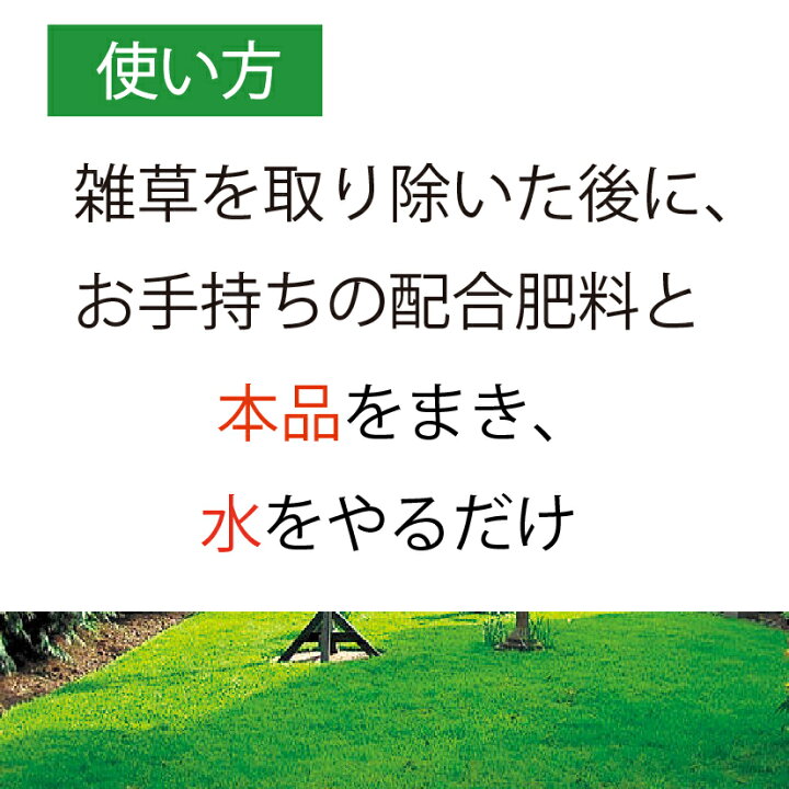 楽天市場 15袋組 芝生 種 混合 1袋 944g おすすめ 芝 全袋使用で密集の場合 推奨300平方メートル 最大1350平方メートル 1袋あたり価格5610円 種まき Newカナダグリーン 天然芝生 緑芝 西洋芝 洋芝 ミックス 種子 ガーデングラス クリスマス カリスマバイヤー輸入