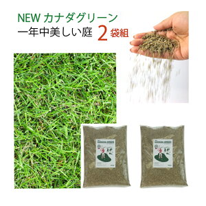 苗 芝生 西洋芝の人気商品 通販 価格比較 価格 Com