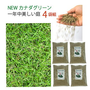 苗 芝生 西洋芝の人気商品 通販 価格比較 価格 Com