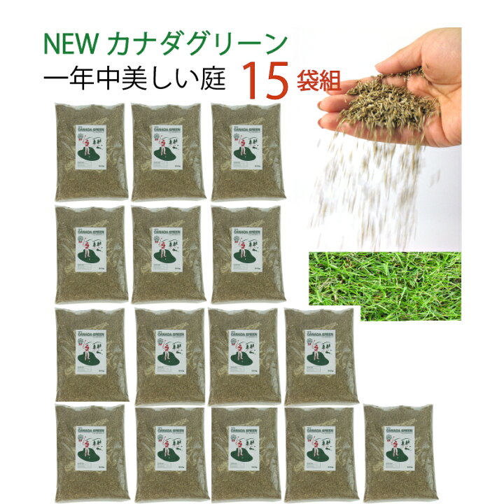楽天市場 15袋組 芝生 種 混合 1袋 944g おすすめ 芝 全袋使用で密集の場合 推奨300平方メートル 最大1350平方メートル 1袋あたり価格5610円 種まき Newカナダグリーン 天然芝生 緑芝 西洋芝 洋芝 ミックス 種子 ガーデングラス クリスマス カリスマバイヤー輸入