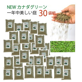楽天市場 洋芝 種の通販