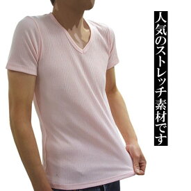 【ポイント10倍】Tシャツ メンズ ストレッチ素材 ランダムテレコ 針抜 半袖VネックTシャツ EVOLUTION【あす楽対応】【あす楽_土曜営業】【あす楽_日曜営業】