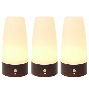 y3Zbgz lZT[ t LED Cg _ dr  ZT[Cg e[uCg Ki  L ]|h~ S Q iCgCg y2025N6x ԗDǃVbv