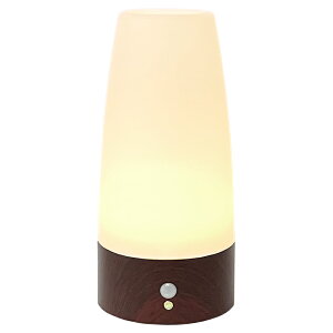 lZT[ t LED Cg _ dr  ZT[Cg e[uCg Ki  L ]|h~ S Q iCgCg vebN y2025N6x ԗDǃVbv