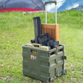 フォールディングキャリーワゴン ブラック/グリーン/グレー/ベージュ　東谷・RoomEssence