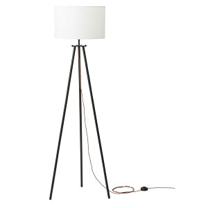 X^hCg / tACg @JERoomEssence@E㕥sy2025N6x ԗDǃVbv܁z