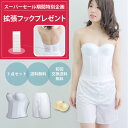 【300円クーポンあり】【スーパーセール期間ポイント2倍】【送料無料・交換無料】ブライダルインナー 補正下着 3点セット 背中開き対応 ドレスインナー ビスチェ フォト婚おすすめ 結婚式 花嫁支持率No.1 海外ウエディング ドレス用下着 ウエディングインナー [M便 5/7]