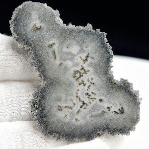 t[AWXg ubN XCX X^N^Cg  EOACEAeBKXYbubNAWXgb΁bArtigas UruguaybX^N^Cgbߓ΁bVR΁bp[