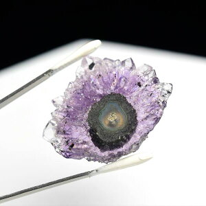 t[AWXg XCX X^N^Cg  EOACEAeBKXY ~jTCY y5.2gzbAWXgNX^[b΁bArtigas UruguaybX^N^Cgbߓ΁bV