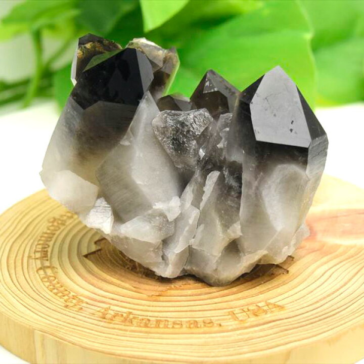 □アーカンソー州産□<br>黒水晶 スモーキークォーツ クラスター 