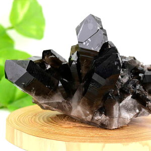 A[J\[BY X[L[NH[c NX^[ |Cg  摜 y279.1gzA[J\[YbbX[L[NH[cbNX^NX^[bQb΁bV