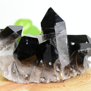 A[J\[BY X[L[NH[c NX^[ |Cg  摜 y301.5gzA[J\[YbbX[L[NH[cbNX^NX^[bQb΁bV