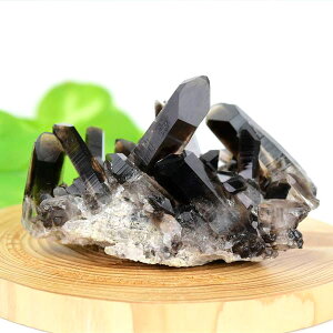 A[J\[BY X[L[NH[c NX^[ |Cg  摜 y115.9gzA[J\[YbbX[L[NH[cbNX^NX^[bQb΁bV