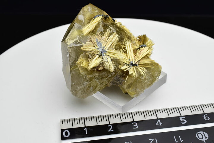 楽天市場】ゴールドルチルクォーツ 太陽ルチル 原石 ◇スターバースト 