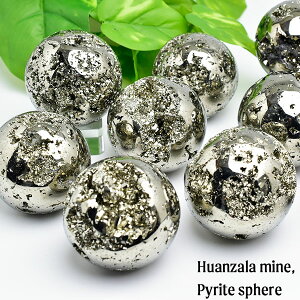 pCCg Sz ۋ u 58mm`60mmOたނCy[ETzRYtbSzbVR΁bp[Xg[bNX^[bXtBAbpCCgb΁bہbpyrite