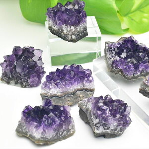 AWXg ~jNX^[  EOACEAeBKXYy30gOzyPi̔FނCzbAWXgbNX^[b΁bVR΁bp[Xg[bv[g 