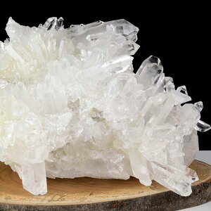 傫߃TCY  NX^[ ΁uWERgYy3.6kgzuWYbRgYbbQb΁bNX^[bxQbRgbVR΁bp[Xg[ 3