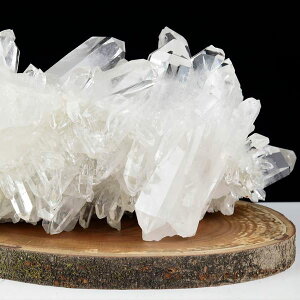 傫߃TCY  NX^[ ΁uWERgYy3.52kgzuWYbRgYbbQb΁bNX^[bxQbRgbVR΁bp[Xg[ 