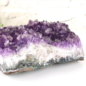 2835g AWXg 傫 NX^[ ΃uW IOfhXEAeBX^hXYbuWYbAWXgbNX^[b΁bVR΁bp[Xg[b򉻁b