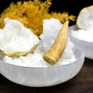 J Moroccan   ZbgZiCg~j{E WI[h NX^[  ~j80gȂt bR̐΂Ɖ΁bZiCgbNX^[bGRhDXbp