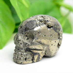 pCCg NX^[ XJ  u319.5g y[ETzRYbSzbVR΁bp[Xg[bNX^[bXJbhNbVR΁bIuWFb΁bpCCgb