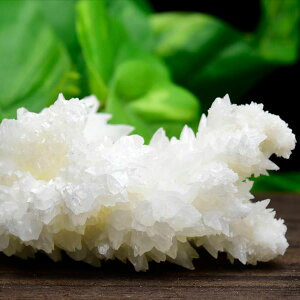 ASiCg tXtF flosferri NX^[  210g LVRE`B T^GEAYzCgASiCgbASiCgtXtFbŐ΁b΁bȂݐ΁bV