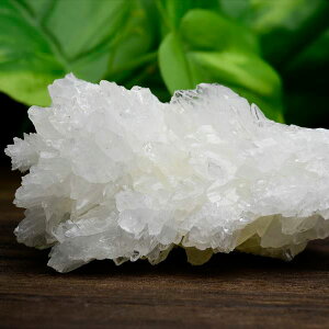 ASiCg tXtF flosferri NX^[  247g LVRE`B T^GEAYzCgASiCgbASiCgtXtFbŐ΁b΁bȂݐ΁bV