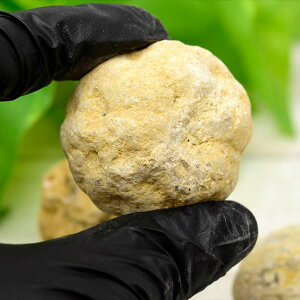 �W�I�[�h ���� ����Ă��Ȃ��W�I�[�h ��SS�T�C�Y�� �����b�R�Y �P�i�̔������b�R�Y�W�I�[�h�b�����b�����b�h�[���b�N���X�^�[�b�V�R�΁b���΁b����ĂȂ��W�I�[�h�b�΃K�`�� ��39�V���b�v