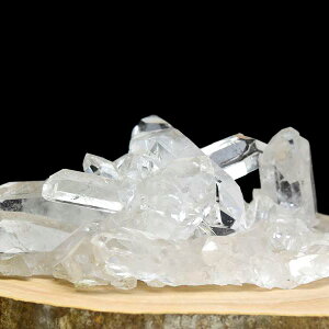 EXO[h  NX^[ ΁uWERgYy299.9gzuWYbRgYbbQb΁bNX^[bxQbRgbVR΁bp[Xg[ 39