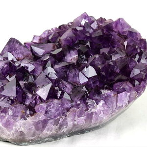 7.06kg AWXg 傫 NX^[ ΃uW IOfhXEAeBX^hXYbuWYbAWXgbNX^[b΁bVR΁bp[Xg[b