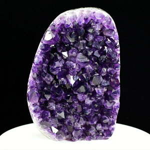 AWXg NX^[ Jbgx[X  EOACEAeBKXY 1627gbAWXgNX^[b΁b|bVGbWbArtigas UruguaybWI[hbh[bVR΁bp