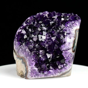 AWXg NX^[ Jbgx[X  EOACEAeBKXY 1891gbAWXgNX^[b΁b|bVGbWbArtigas UruguaybWI[hbh[bVR΁bp