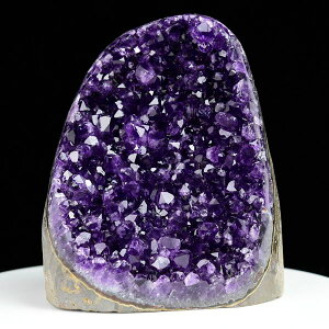 AWXg NX^[ Jbgx[X  EOACEAeBKXY 1351gbAWXgNX^[b΁b|bVGbWbArtigas UruguaybWI[hbh[bVR΁bp