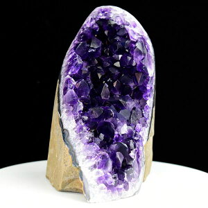 AWXg NX^[ Jbgx[X  EOACEAeBKXY 1360gbAWXgNX^[b΁b|bVGbWbArtigas UruguaybWI[hbAWXgh[bV