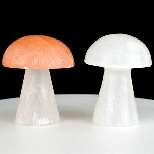 ZiCg ΍p LmRyIׂ2^Cvz bRY ̂^yF60mmOzy90`95gOzZiCgbs[`ZiCgb΍pbVR΁bub}bV[bp[X