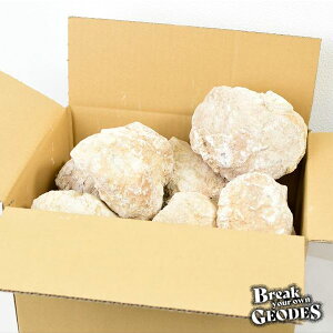 bRY WI[h ĂȂWI[h 傫߃TCYbՂ15kg lߍ킹 A\[gZbgbRYWI[hbbbh[bNX^[bVR΁b΁bĂ