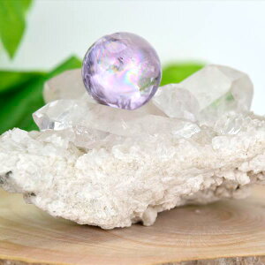 ɏ x_[AWXgۋ XtBA RgYNX^[t23mm C{[AWXgbbۋʁbNX^[tbVR΁bp[Xg[b򉻃Zbg