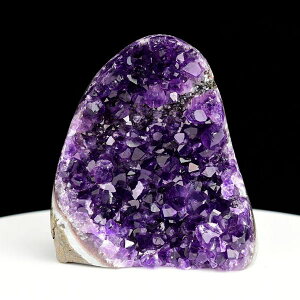 AWXg NX^[ Jbgx[X  EOACEAeBKXY 506.5gbAWXgNX^[b΁b|bVGbWbArtigas UruguaybWI[hbAWXgh[b