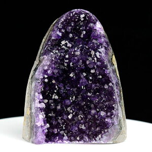 AWXg NX^[ Jbgx[X  EOACEAeBKXY 780gbAWXgNX^[b΁b|bVGbWbArtigas UruguaybWI[hbAWXgh[bV