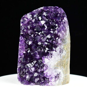 AWXg NX^[ Jbgx[X  EOACEAeBKXY 1544gbAWXgNX^[b΁b|bVGbWbArtigas UruguaybWI[hbAWXgh[bV