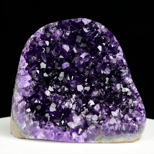 AWXg NX^[ Jbgx[X  EOACEAeBKXY 1169.5gbAWXgNX^[b΁b|bVGbWbArtigas UruguaybWI[hbAWXgh[b