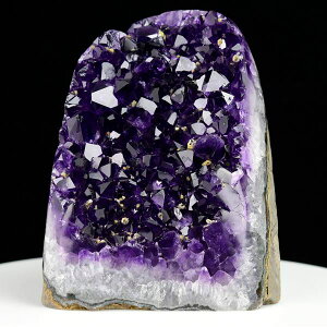 AWXg NX^[ Jbgx[X  EOACEAeBKXY 1644gbAWXgNX^[b΁b|bVGbWbArtigas UruguaybWI[hbAWXgh[bV