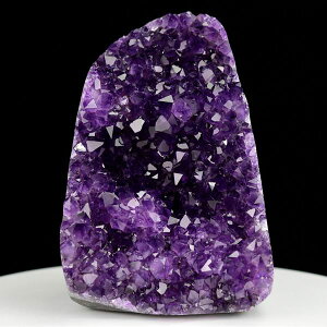 AWXg NX^[ Jbgx[X  EOACEAeBKXY 1115gbAWXgNX^[b΁b|bVGbWbArtigas UruguaybWI[hbAWXgh[bV