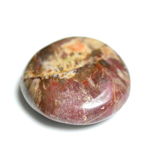 ygt@ChEbh ] p[Xg[  }_KXJY y63.8gzygt@ChEbhb؂̉΁b΁b|bVb^ubpalm stoneb΁b΁bVR΁b]