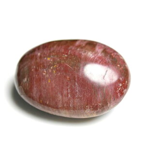 ygt@ChEbh ] p[Xg[  }_KXJY y69.1gzygt@ChEbhb؂̉΁b΁b|bVb^ubpalm stoneb΁b΁bVR΁b]