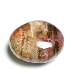 ygt@ChEbh ] p[Xg[  }_KXJY y77.8gzygt@ChEbhb؂̉΁b΁b|bVb^ubpalm stoneb΁b΁bVR΁b]