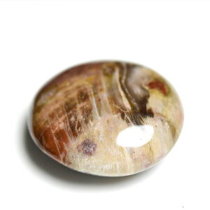 ygt@ChEbh ] p[Xg[  }_KXJY y64.4gzygt@ChEbhb؂̉΁b΁b|bVb^ubpalm stoneb΁b΁bVR΁b]